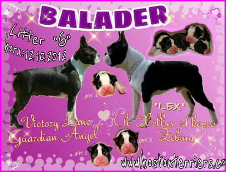 BALADER